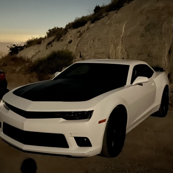 Meet your Posher, Parsa - Picture 1 of 1